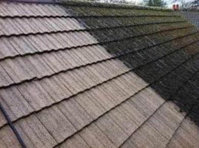 Global Roof Care